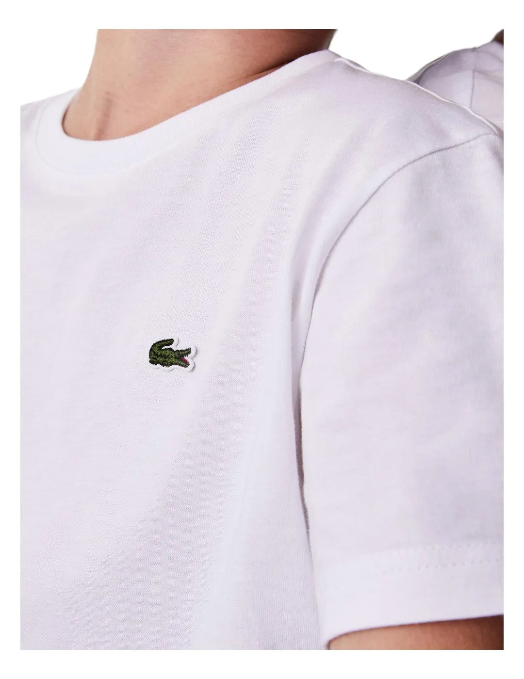 Camiseta Blanca Logo Bordado Lacoste