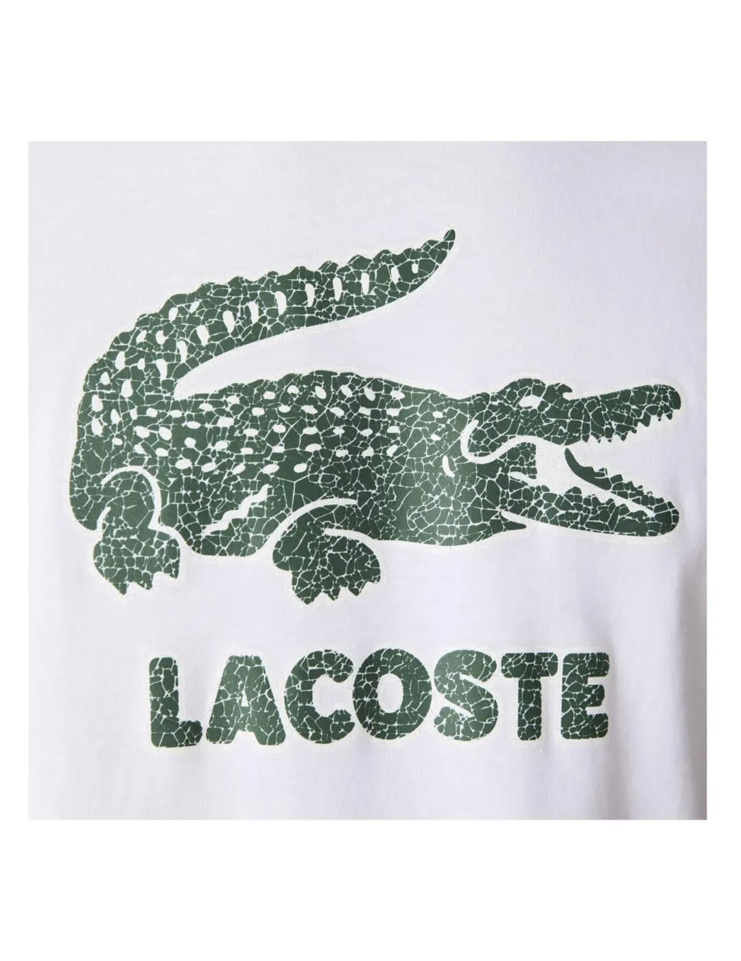 Camiseta logo craquelado Lacoste