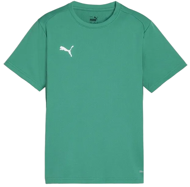 Camiseta Puma teamGOAL T-Shirt