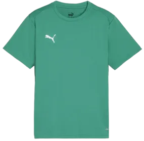 Camiseta Puma teamGOAL T-Shirt