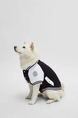 Chaqueta bomber para perros con logo bordado