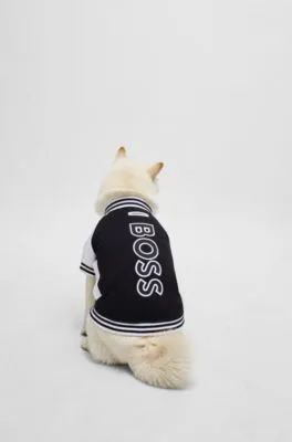 Chaqueta bomber para perros con logo bordado