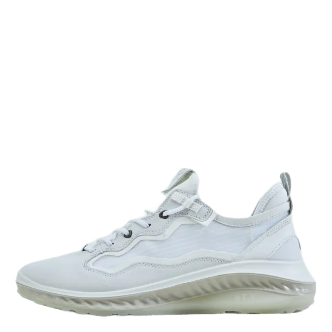 Ecco Ecco St.360 M White/white/white