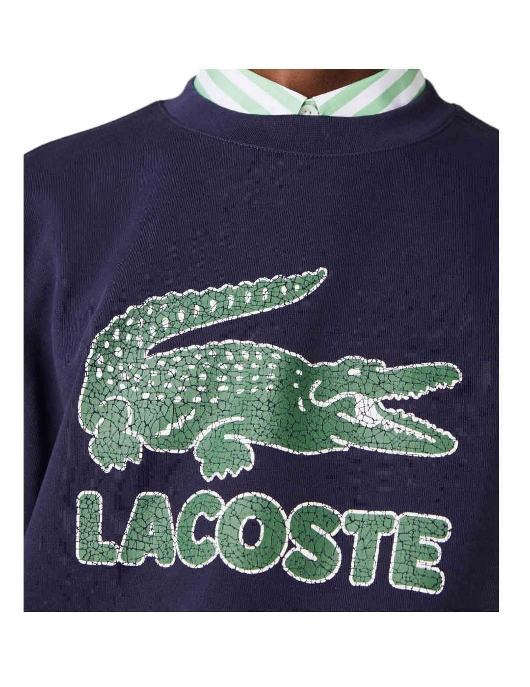 Sudadera logo craquelado Lacoste