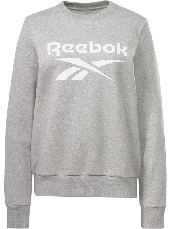 SUDADERA REEBOK-REEBOK IDENTITY BIG-100012588-MUJER-GRIS