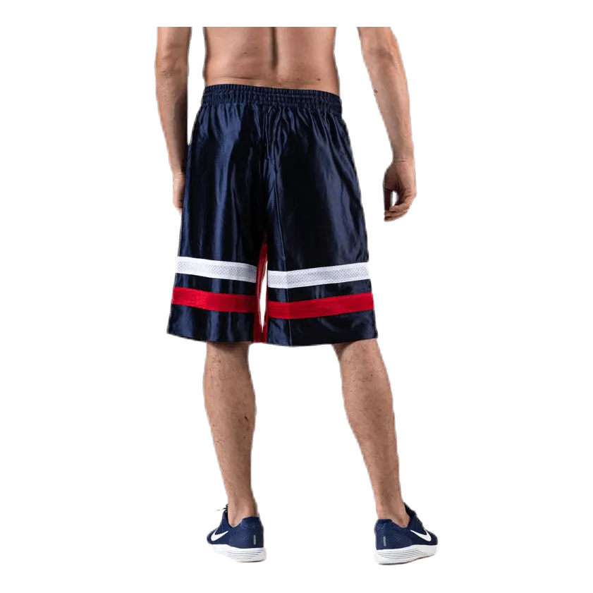 Tommy Hilfiger Sport Blocked Shorts 11